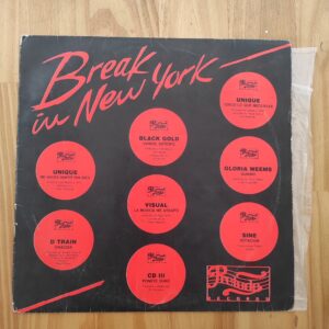Varios - Break in New York (Vinilo LP)