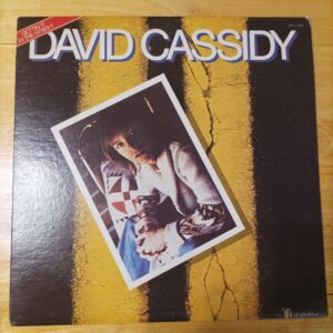 David Cassidy - Gettin' it in the street