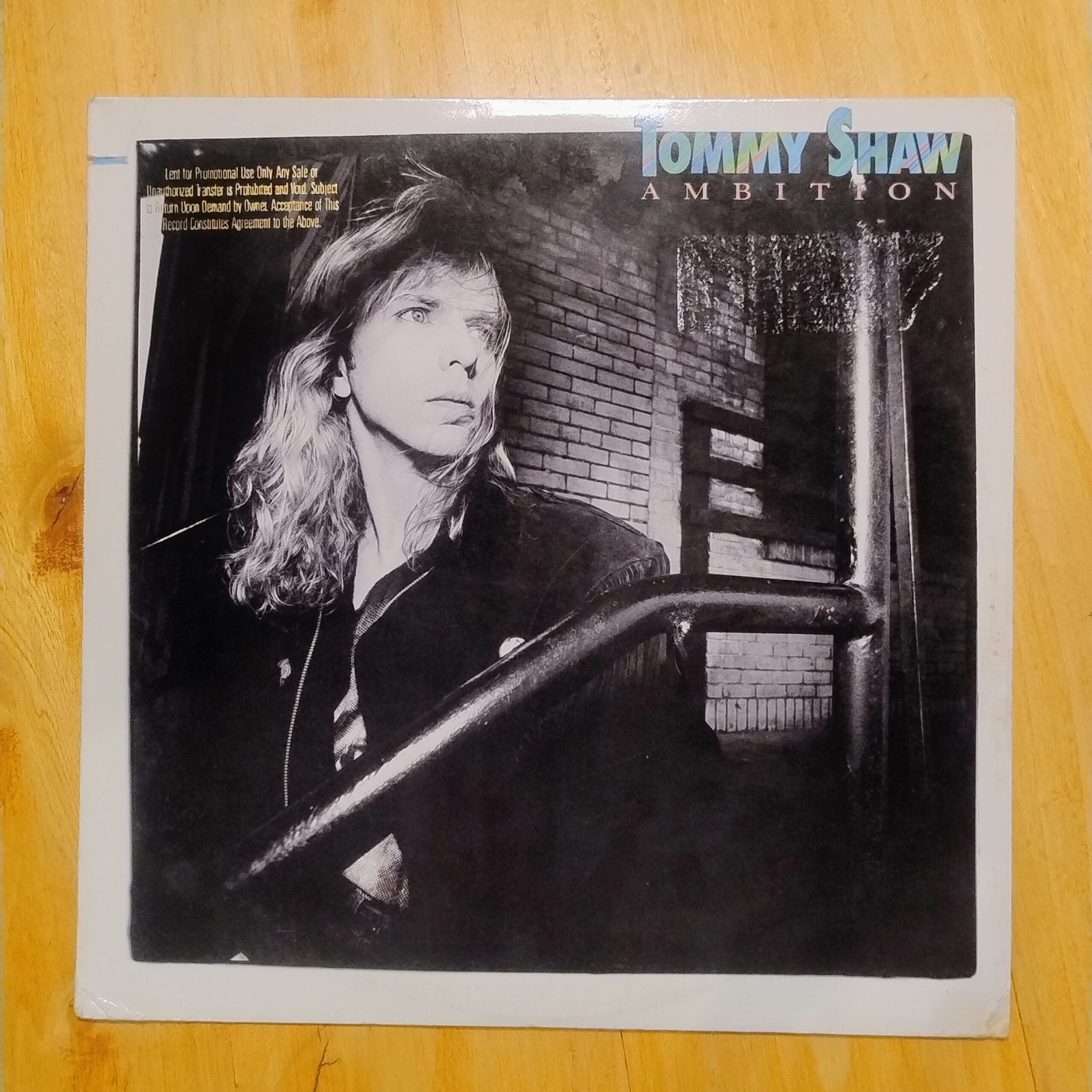 Tommy Shaw - Ambition