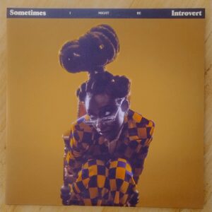 Little Simz - Sometimes I Might Be Introvert