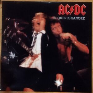AC/DC - If you want blood, you got it