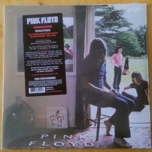 Pink Floyd - Ummagumma