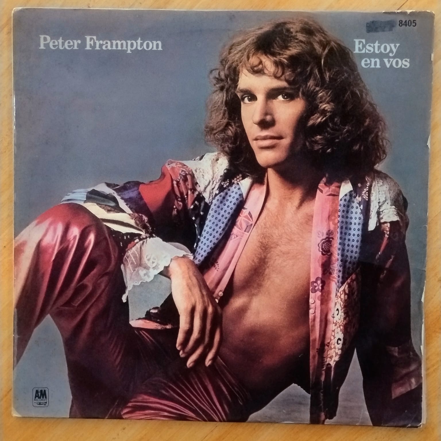 Peter Frampton - Estoy en vos