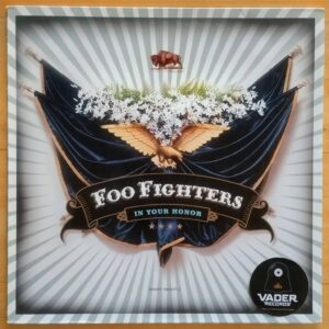 Foo Fighters - In your honor